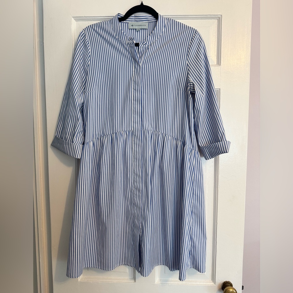 Tuckernuck Striped Blue and White Mini Dress